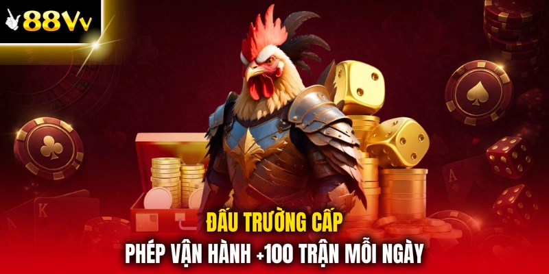 Đấu trường cấp phép vận hành +100 trận mỗi ngày