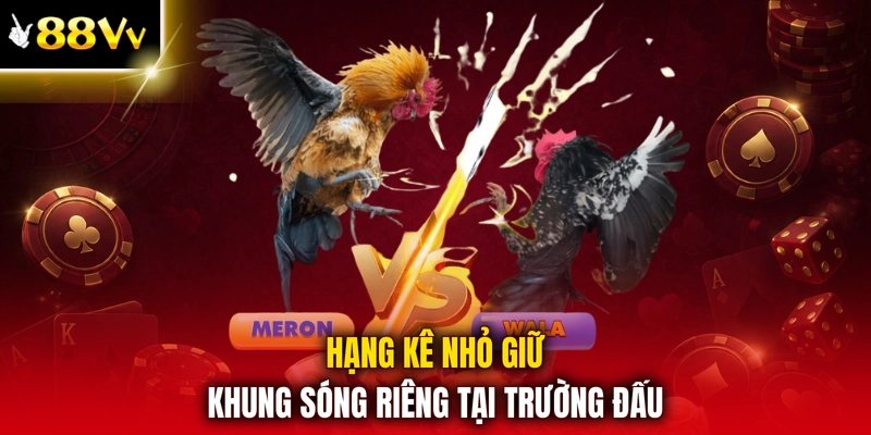 Hạng kê nhỏ giữ khung sóng riêng tại trường đấu