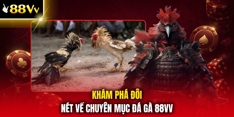 Khám phá đôi nét về chuyên mục đá gà 88VV